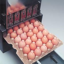 整托盤雞蛋噴碼機 整托盤雞蛋噴碼機