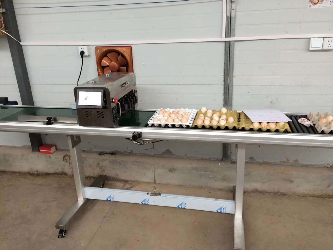 多頭全自動雞蛋噴碼機 多頭全自動雞蛋噴碼機